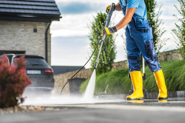 Animal Enclosure Cleaning in Clute, TX